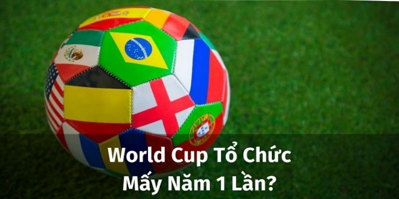 Lịch sử World cup